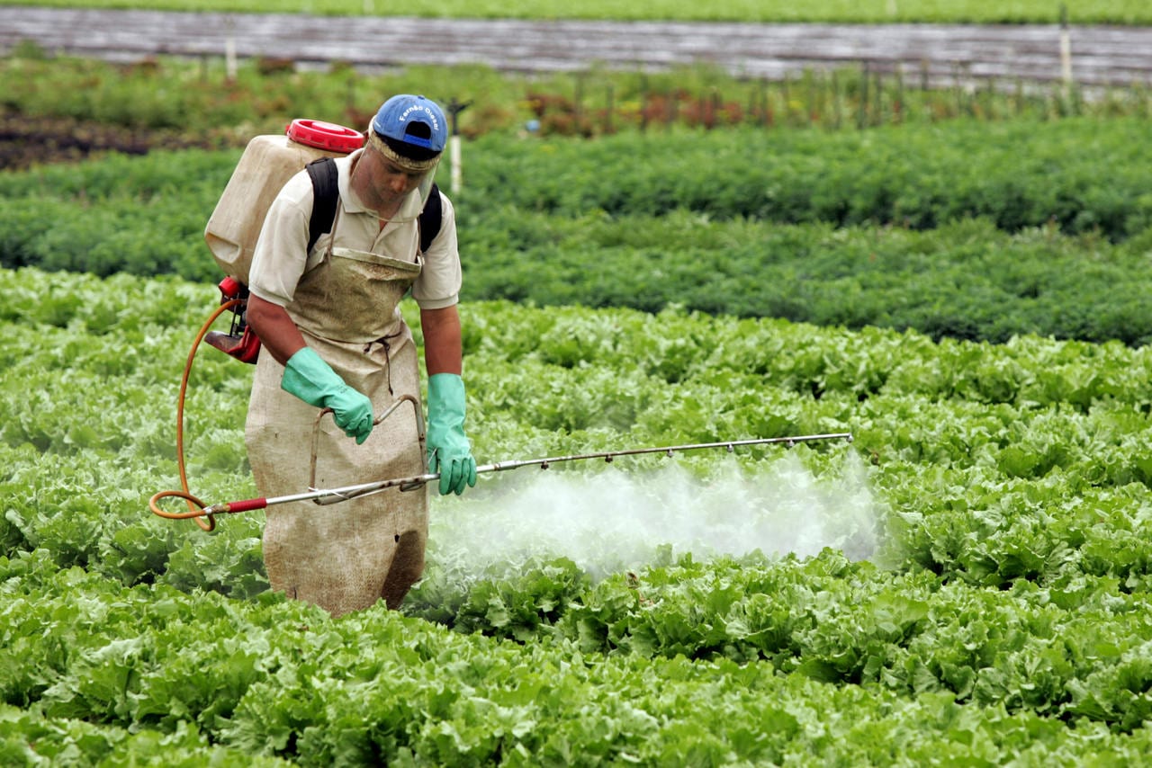 Pesquisador da Fiocruz dá curso sobre regulamentação de agrotóxicos em Natal
