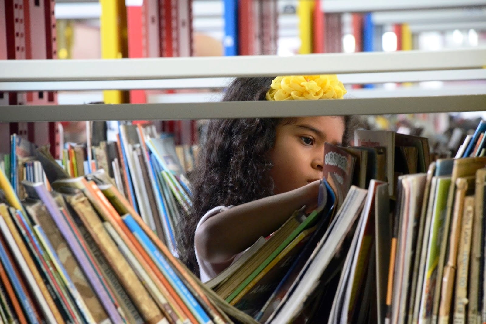 Governo voltará a investir no acervo da Biblioteca Câmara Cascudo após 25 anos