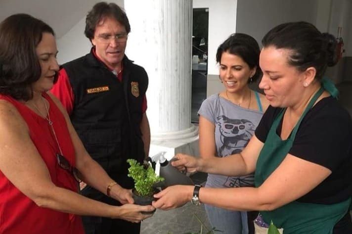 Ativistas do RN lançam primeiro aplicativo de doação de mudas e sementes do Brasil