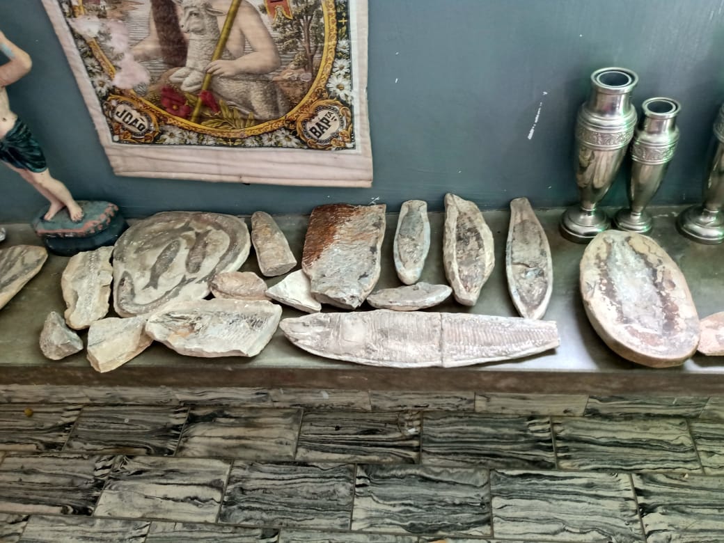 Padre investigado por furto de objetos litúrgicos em Currais Novos guardava fósseis de 112 milhões de anos