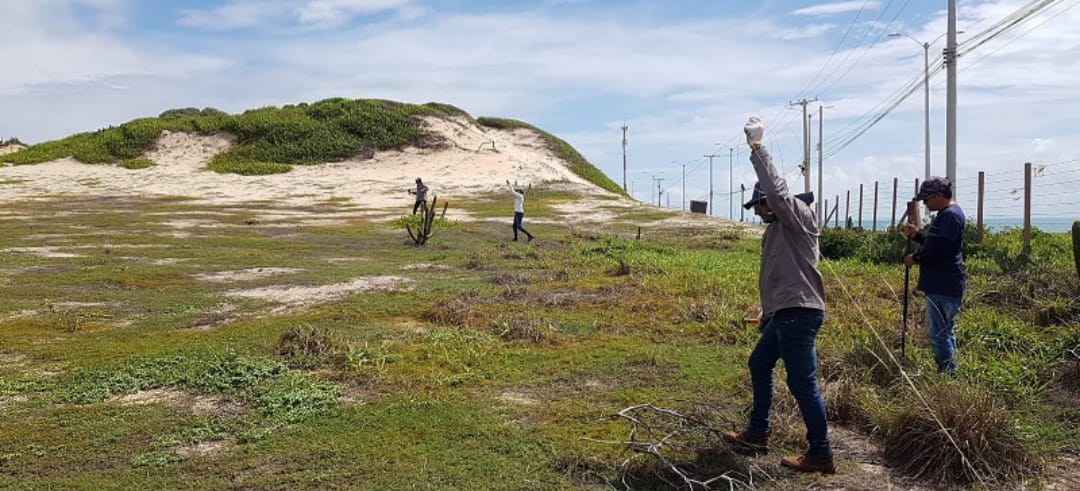 Chesf recupera vegetação nativa do Parque das Dunas como compensação ambiental por linhas instaladas entre Natal e Campina Grande