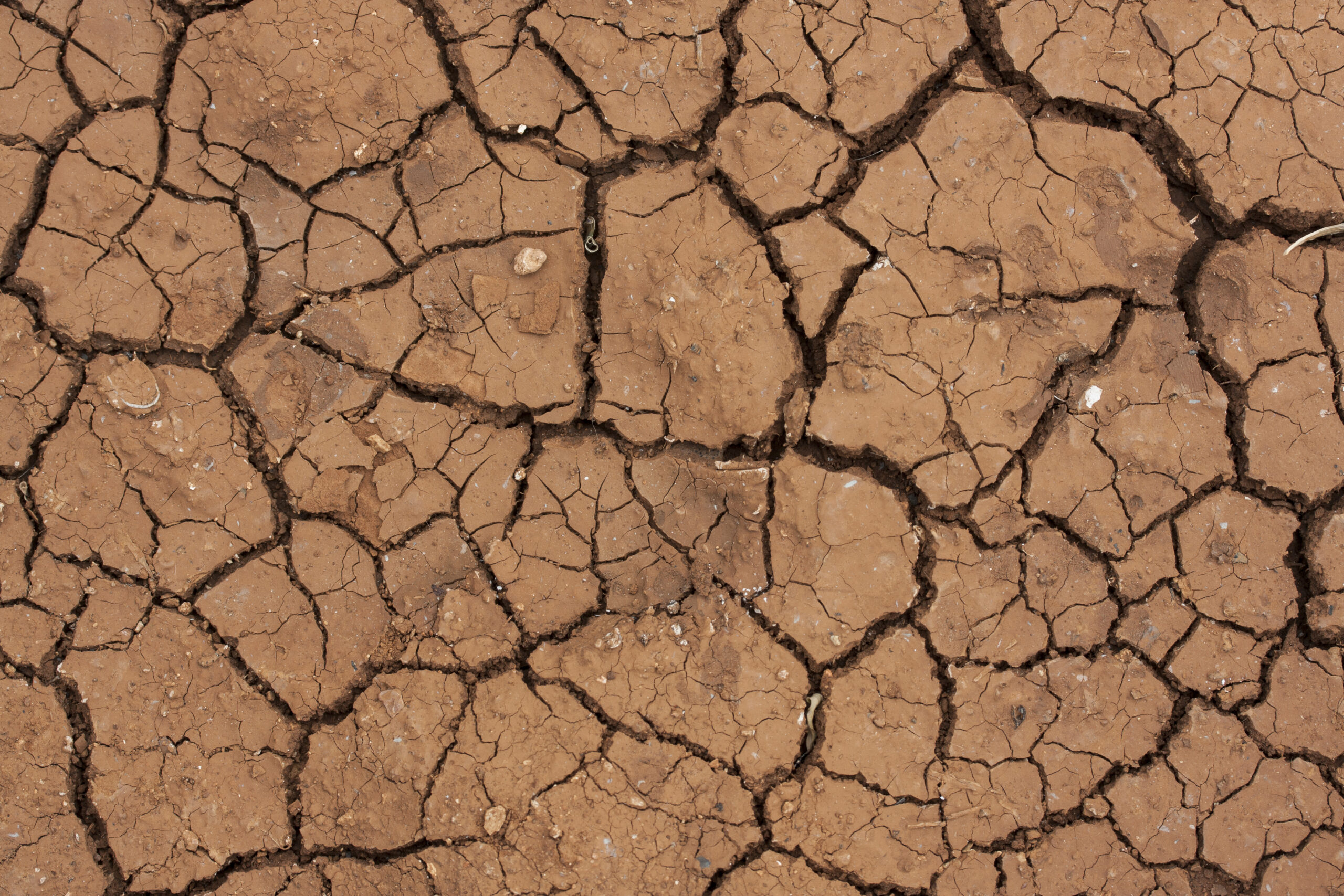 RN tem 22 municípios entre os 100 mais afetados pela desertificação no Nordeste