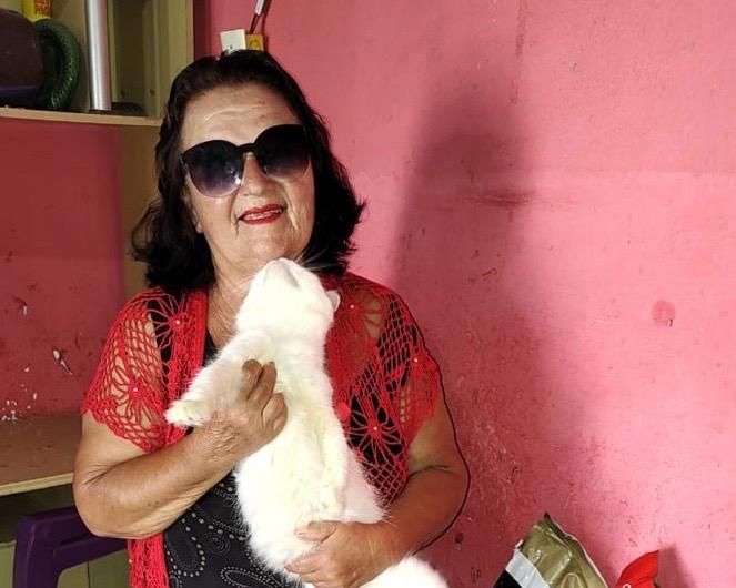 Há 20 anos, Lar da Dona Fátima acolhe animais na Zona Norte