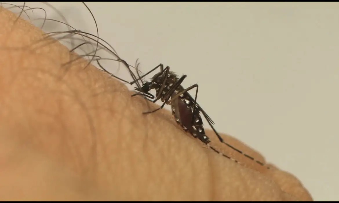 RN é o 2º no Nordeste com maior incidência de dengue