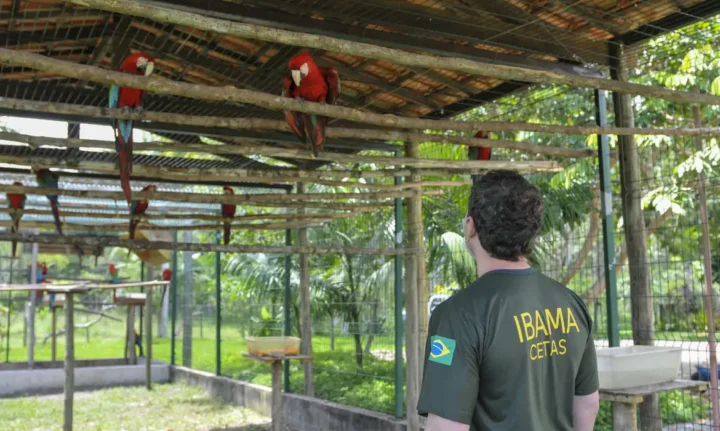 Servidores do Ibama RN entram em greve a partir desta quarta (3)