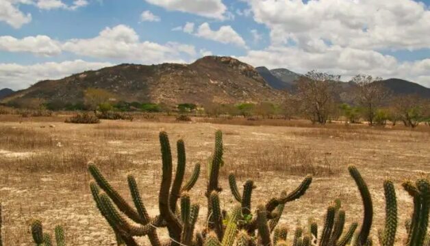 TCE-RN aponta que RN não implantou política de combate à desertificação