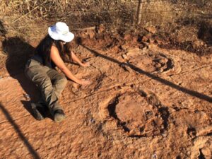 Zarah estuda pegadas de dinossauro encontradsa por cientistas da UFRN na PB I Foto: Tito Aureliano