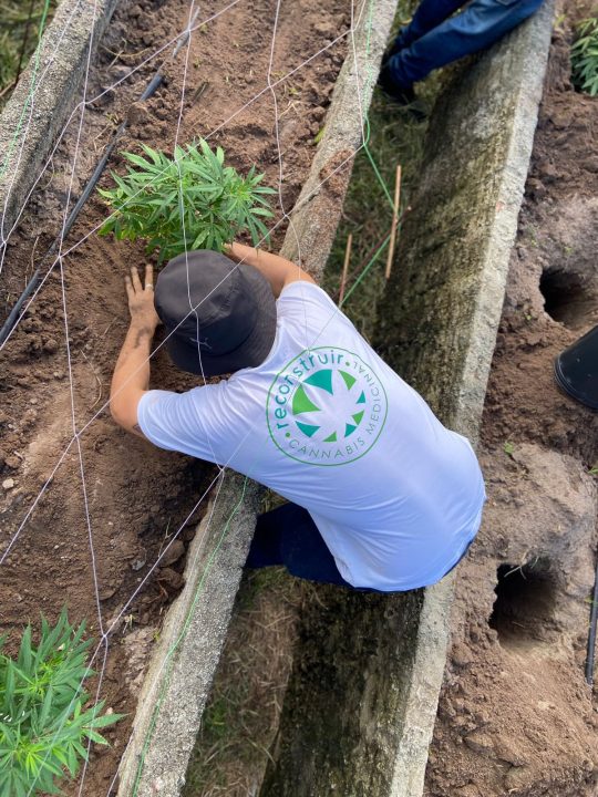 Maior evento sobre cannabis medicinal do Nordeste começa nesta sexta (11)