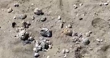 Ambientalista denuncia possível destruição de corais na engorda de Ponta Negra