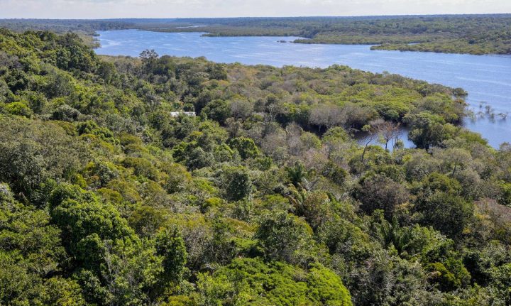 Amazônia registra menor taxa de desmatamento desde 2015