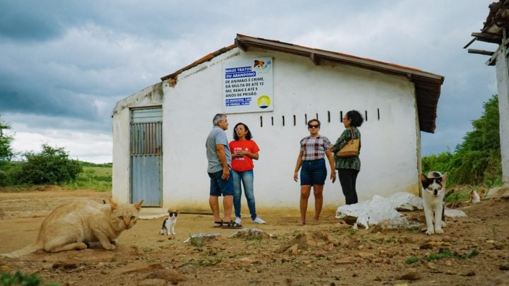 Fátima sanciona lei que proíbe eliminação de cães e gatos no RN