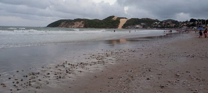 Banhistas registram material semelhante a corais na engorda de Ponta Negra
