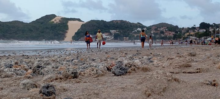 Material em área de engorda de Ponta Negra não é coral, diz Funpec