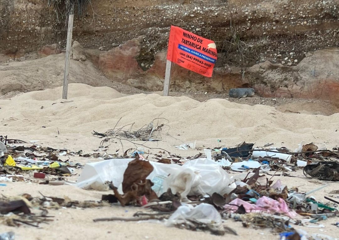Praias com lixo em Natal são locais de desova de tartarugas marinhas