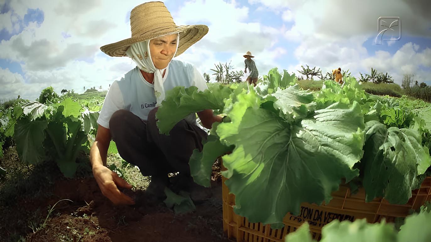 Agroamigo: Mulheres lideram contratações de microcrédito rural em programa do BNB