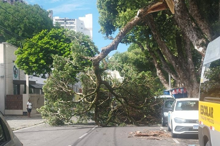 Galho de árvore cai em via de Natal e bloqueia parte da pista