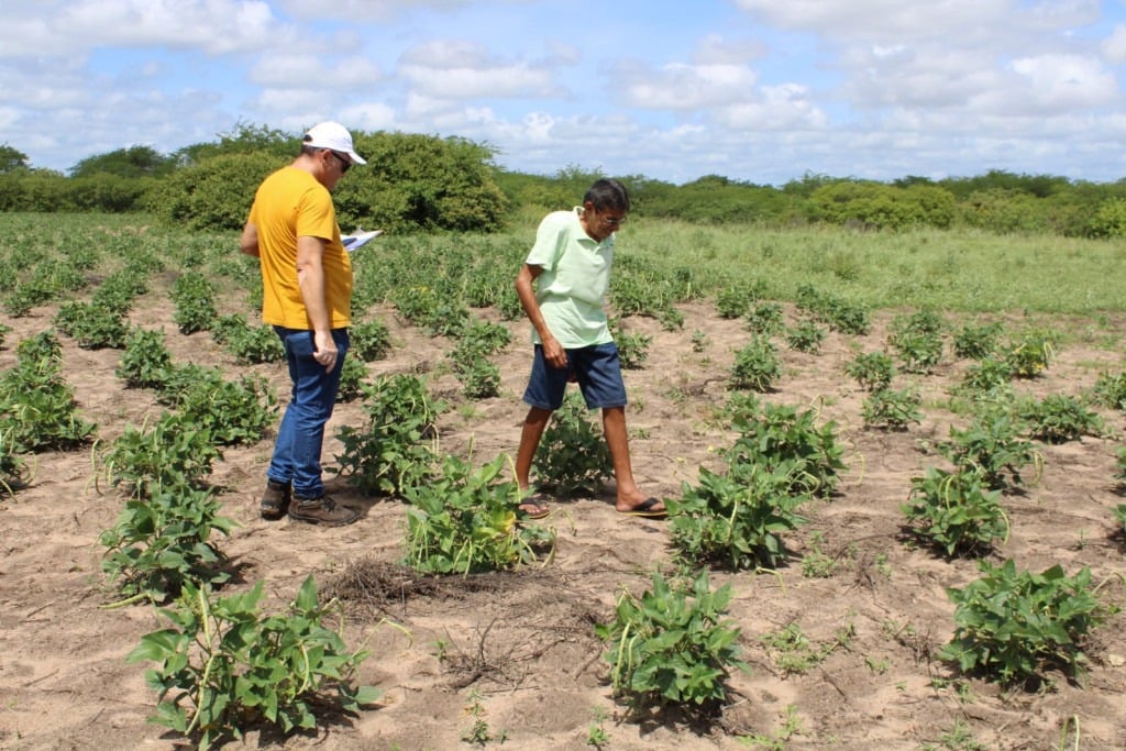 Vistoria  revela perdas graves na agricultura familiar de Mossoró
