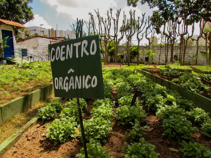 Agricultura familiar no RN: produção, desafios e avanços