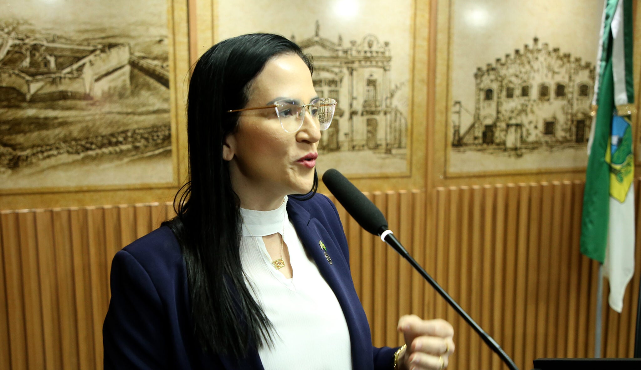 Projeto que proíbe crianças em parada LGBT em Natal sofre críticas