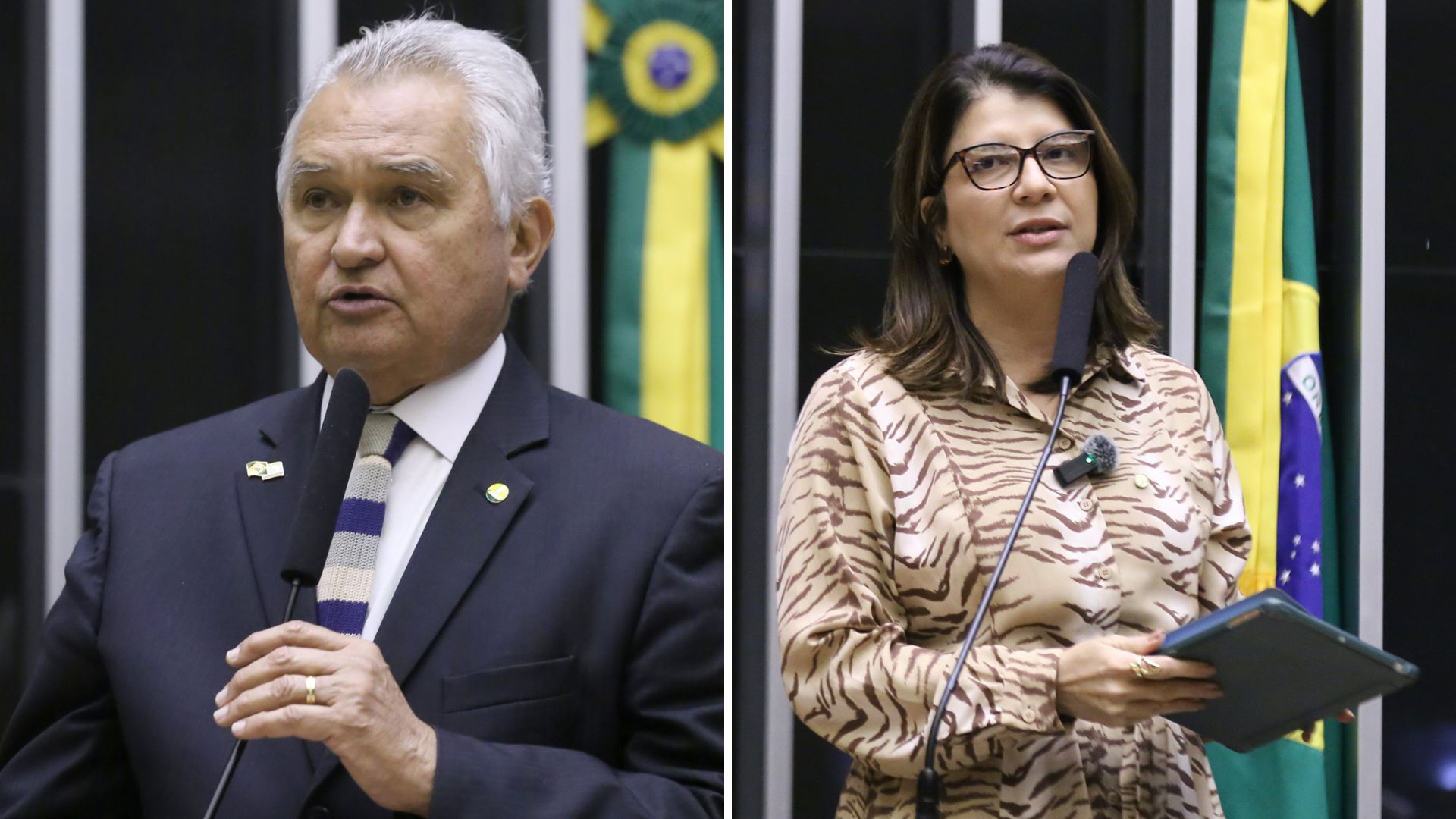 Girão e Carla Dickson votam a favor de moção de apoio a Bolsonaro