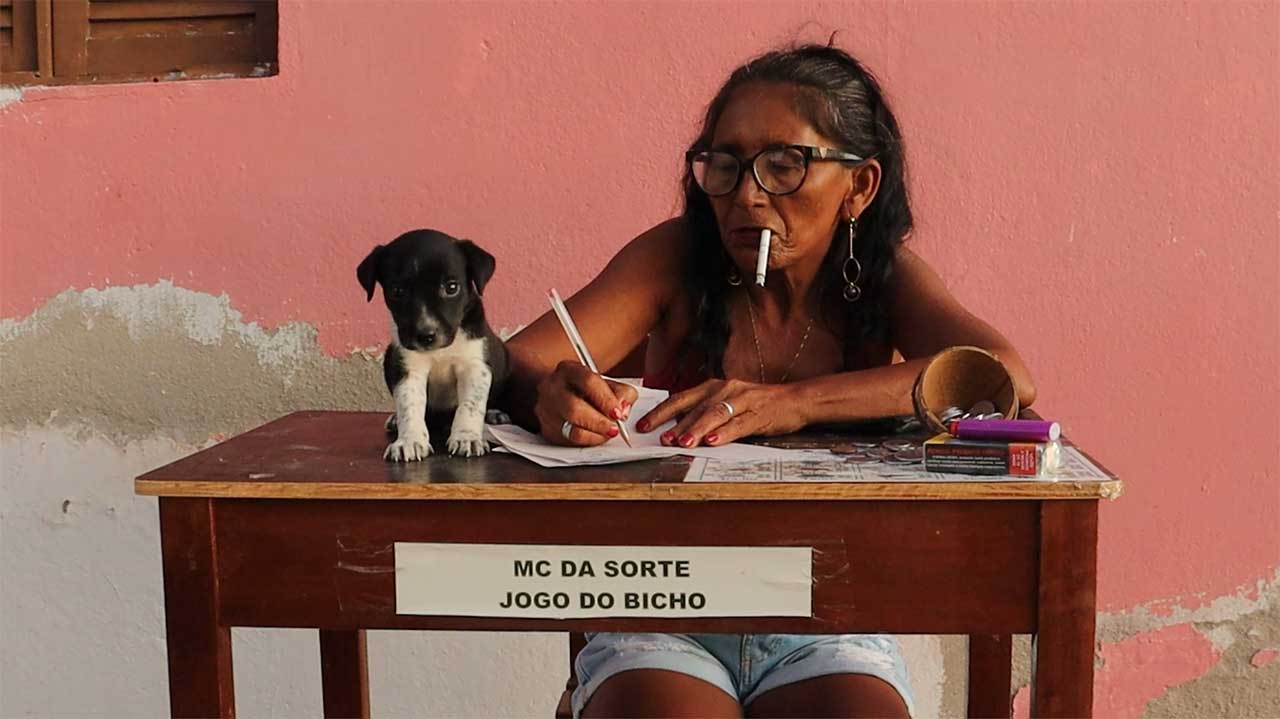 Pupá: a história de uma mulher seridoense que atravessa o Brasil