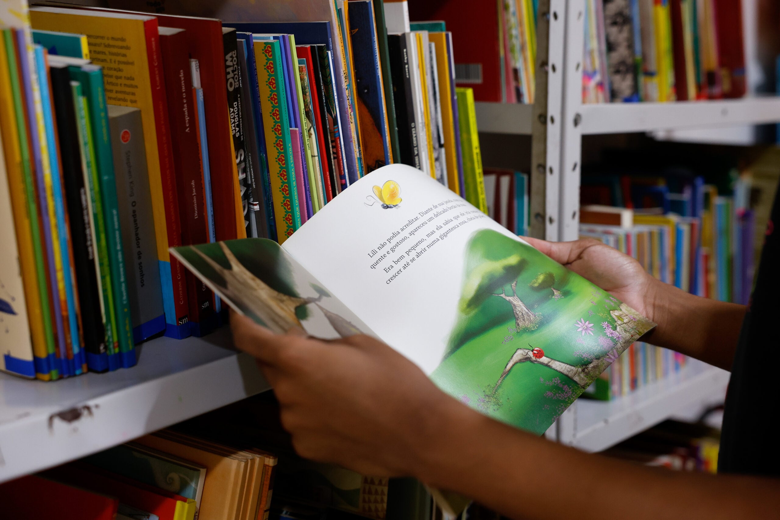 Bibliotecas passarão a ser obrigatórias em escolas de Natal