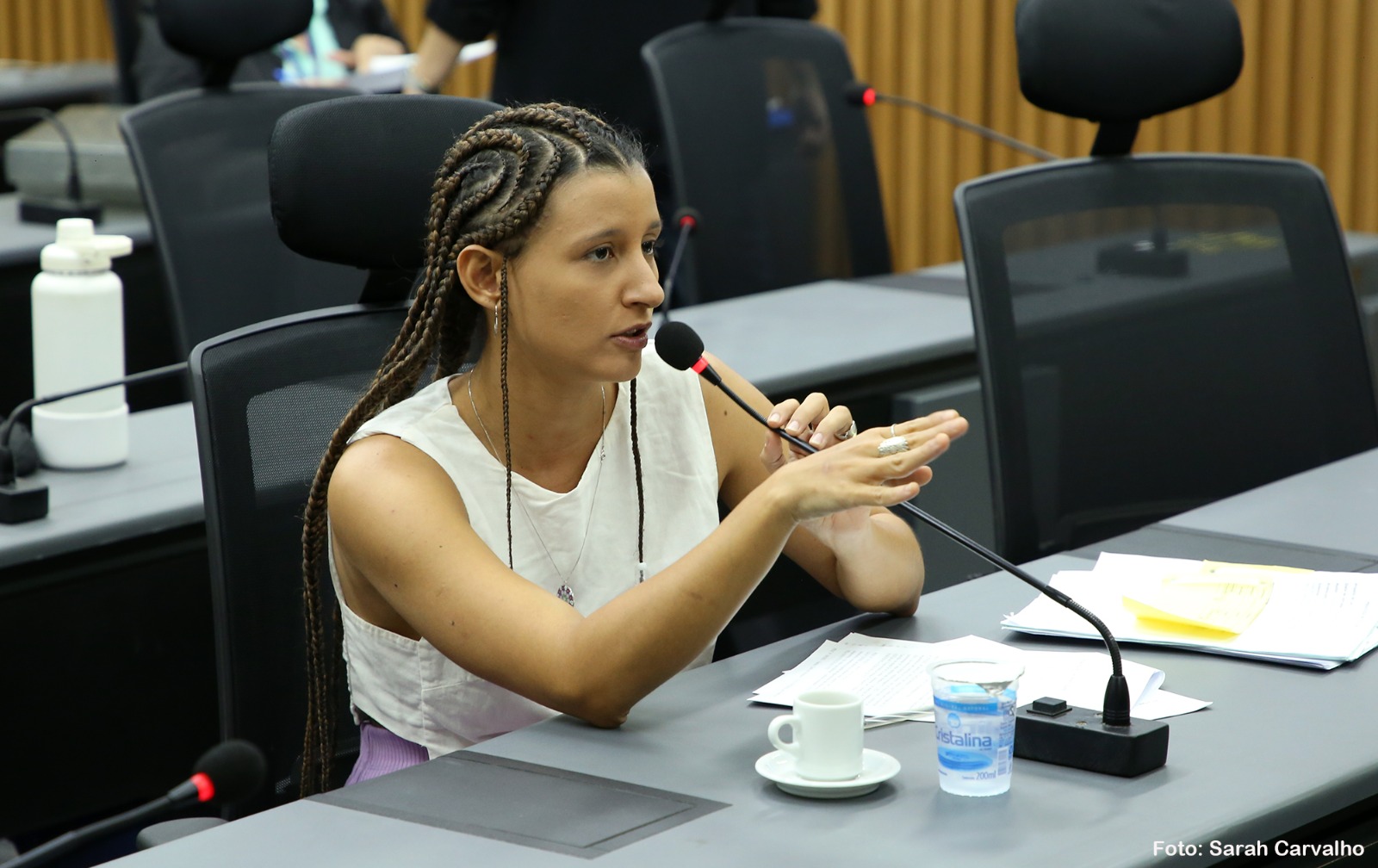 Comissão vota por arquivar processo de cassação contra Brisa