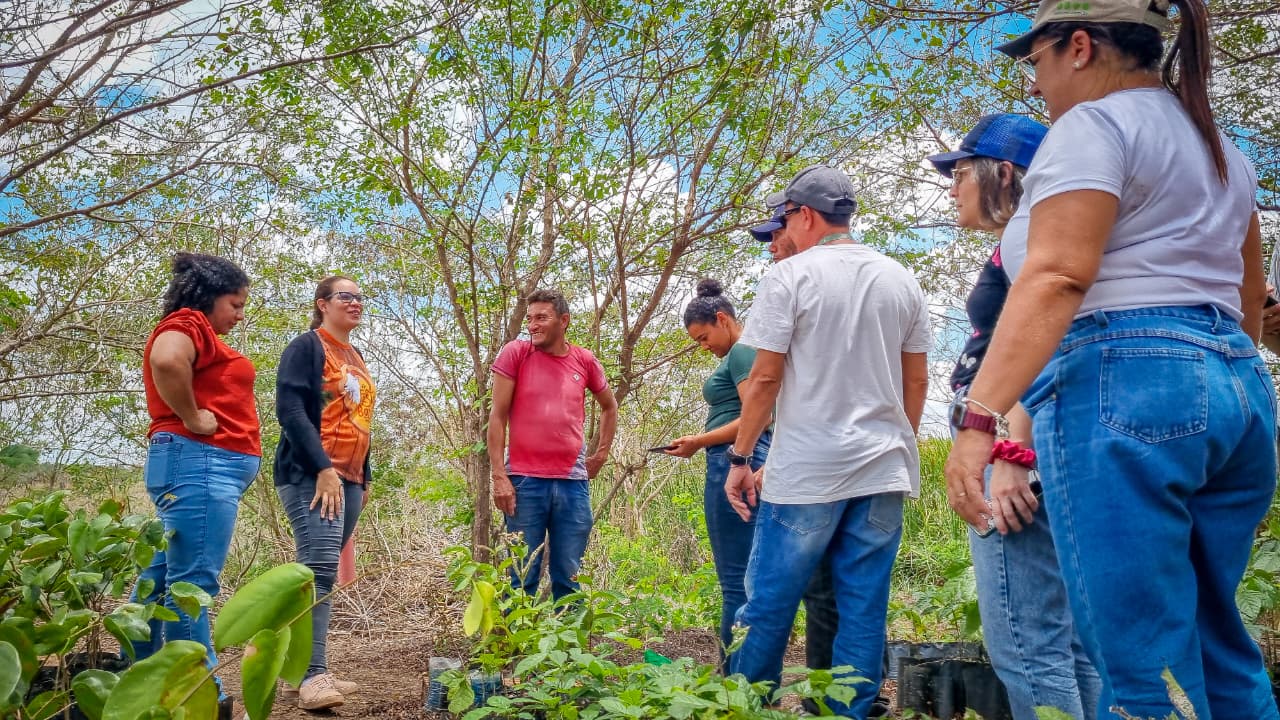 Programa aposta na juventude rural para fortalecer agroecologia no RN