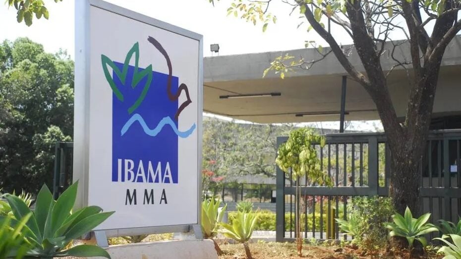 Ibama oferece cursos gratuitos on-line de educação ambiental