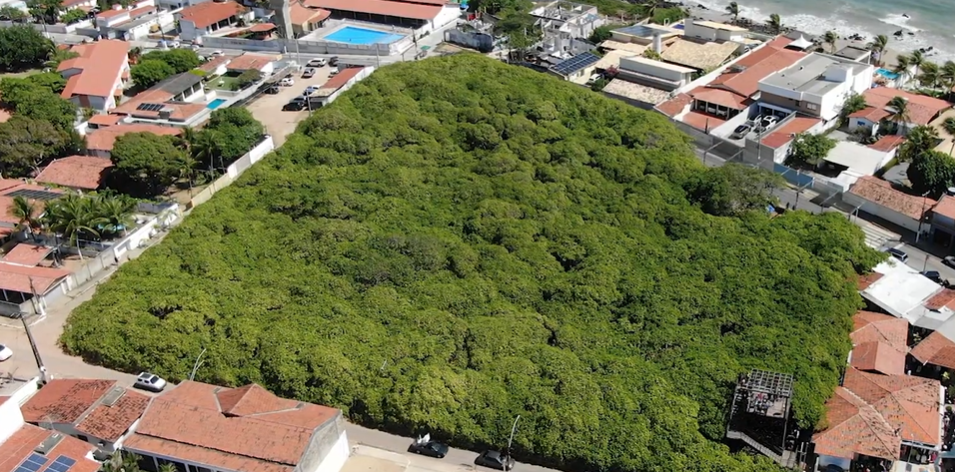 Série na internet explora ciência e memória local de Parnamirim