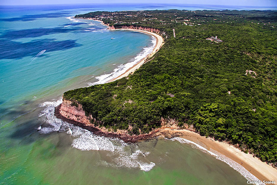 Praia da Pipa sedia evento inédito voltado à educação e cultura sobre cannabis
