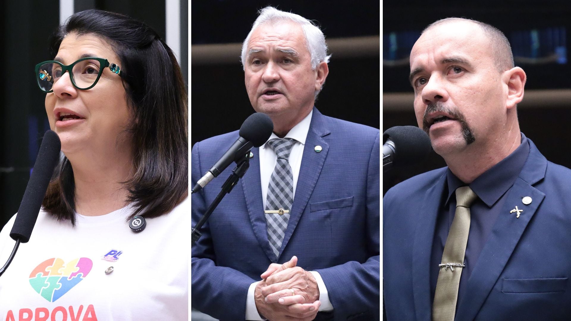 Bolsonaristas do RN votam contra urgência do PL da Misoginia